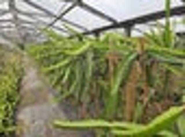 House for sale in Ohaeawai, Northland