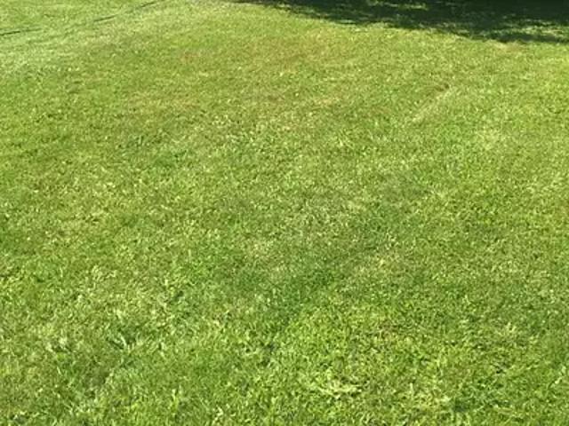 Terrain vente à Sucé-sur-erdre, La Chaussée