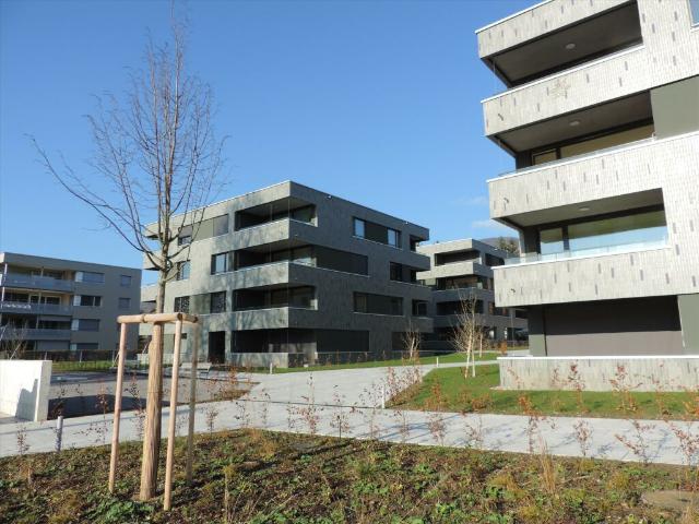 Wohnung mieten in Wangen bei Olten, Solothurn