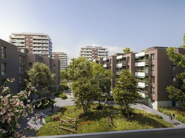 Wohnung mieten in Rheinfelden, Aargau