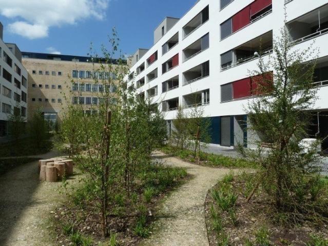 Wohnung mieten in Winterthur, Zürich