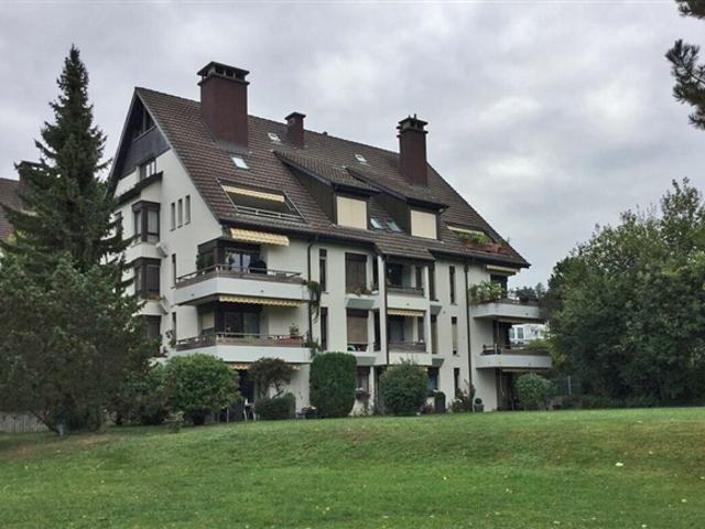 Garage mieten in Einigen, Zürich