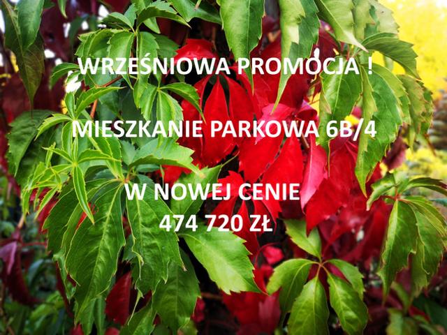 Mieszkanie na sprzedaż w Biedrusko, Wielkopolskie