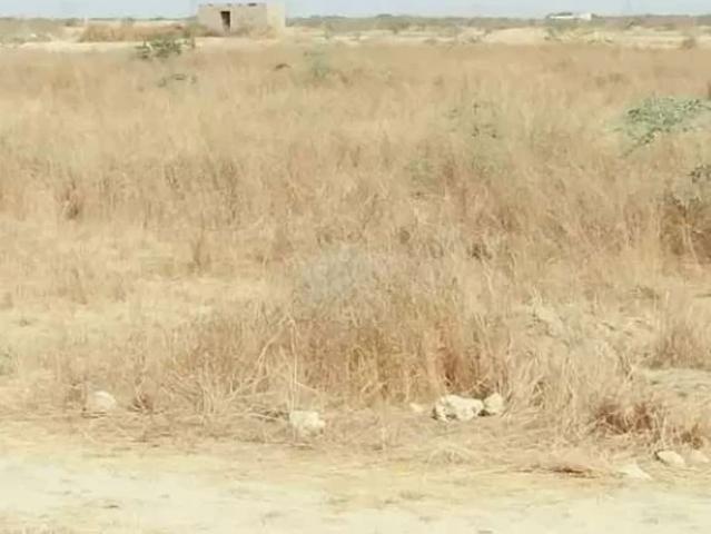 Land for sale in North Waziristan, Federally Administered Tribal Areas fata