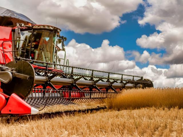 Maison vente à France métropolitaine, Mont-de-marsan