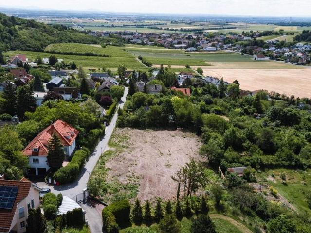 Grundstück kaufen in Korneuburg, Niederösterreich