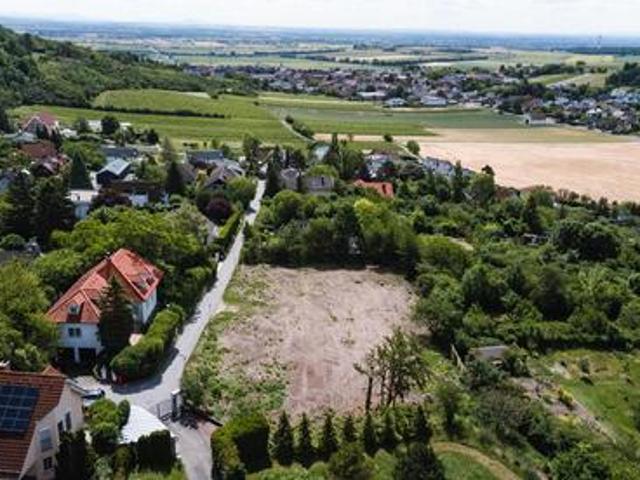 Grundstück kaufen in Hagenbrunn, Niederösterreich