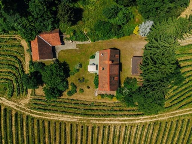 Schloss kaufen in Sauberg, Spielfeld