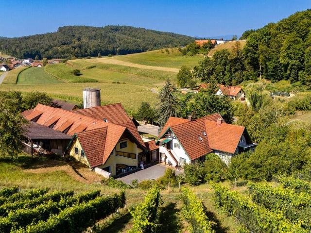 Haus kaufen in St. Nikolai im Sausal, Steiermark