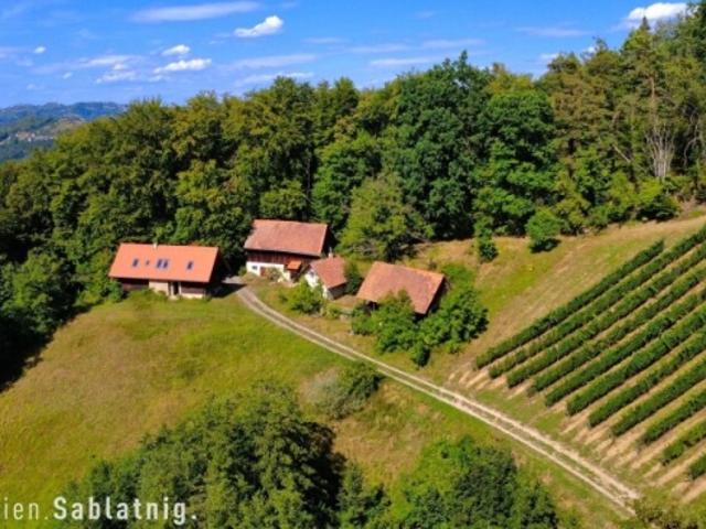 Haus kaufen in Großklein, Bezirk Leibnitz