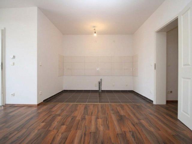 Apartment mieten in Werder, Brandenburg