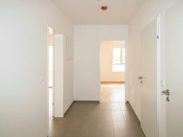 Wohnung mieten in Großstelzendorf, Göllersdorf