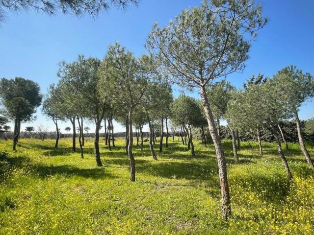 Terreno en alquiler en Sur, Leganés