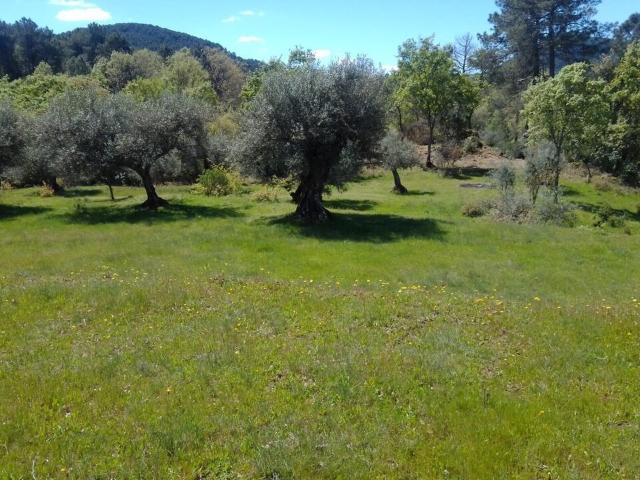 Terreno en alquiler en Mombeltrán, Castilla y León