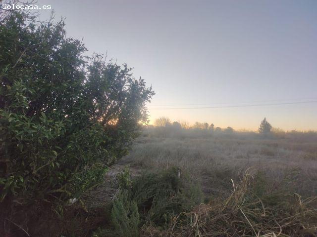 Local Comercial en venta en La Alberca De Záncara, Alberca de las Torres
