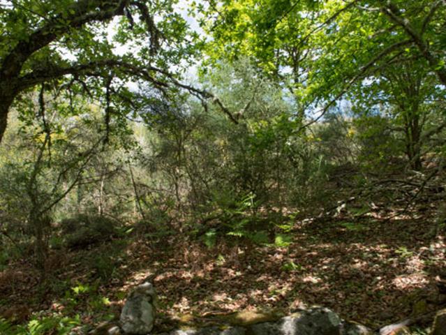 Terreno en venta en Cortegada, Folgoso