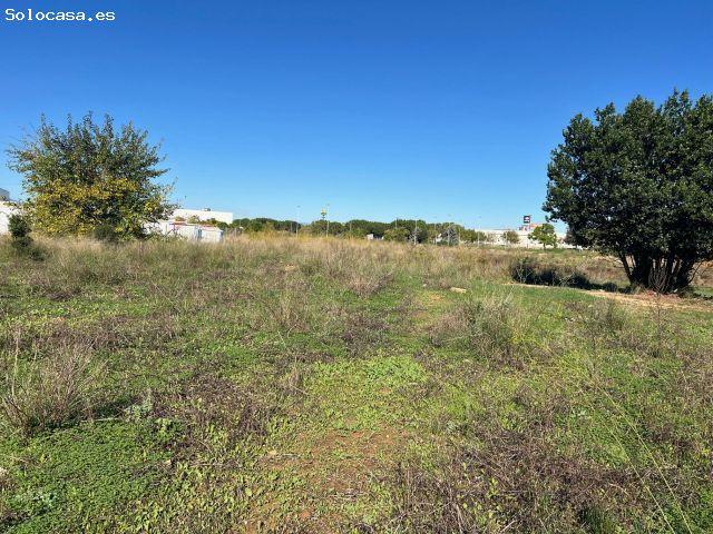 Local Comercial en venta en Santa Apolonia, l'Horta Sud