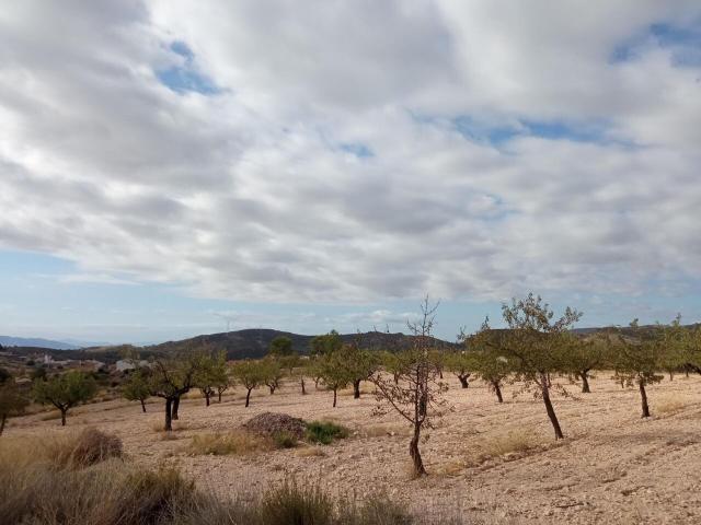 Terreno en venta en Barinas, Oriental
