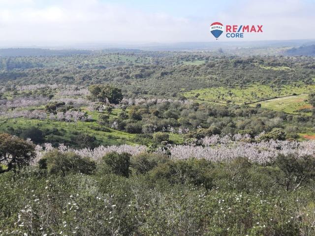 Terreno en venta en Tierra de Badajoz, Extremadura