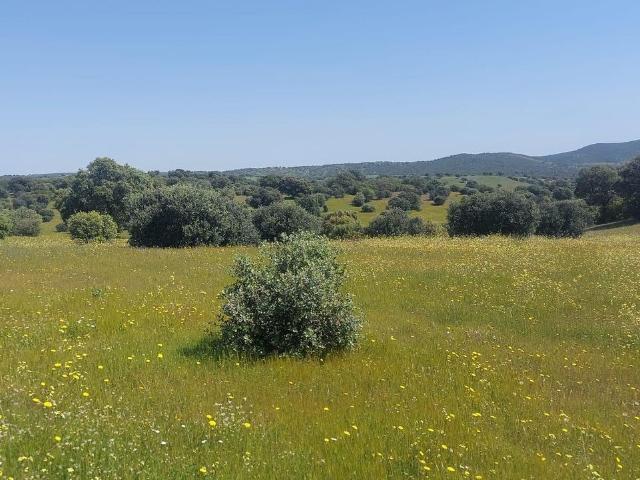 Terreno en venta en Aldeaquemada, Andalucía
