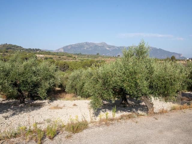 Terreno en venta en Almudaina, Alacant / Alicante