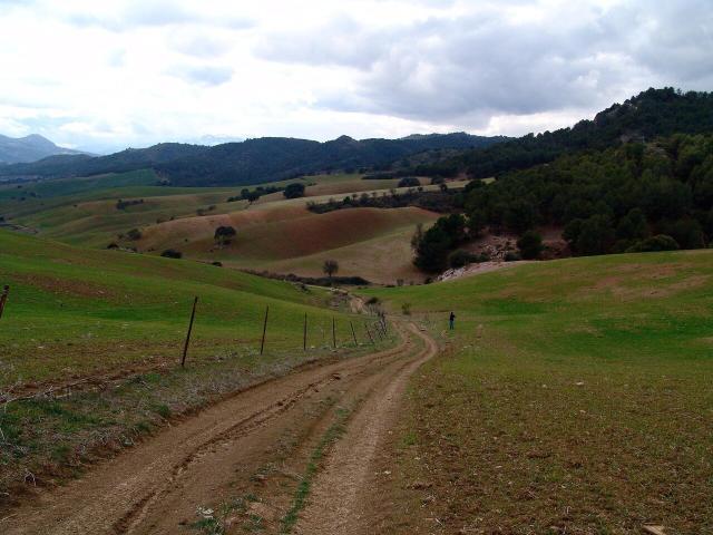 Terreno en venta en Ardales