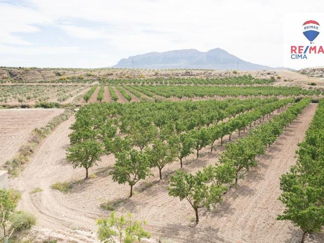 Terreno en venta en Cañada de Pitán, Benamaurel