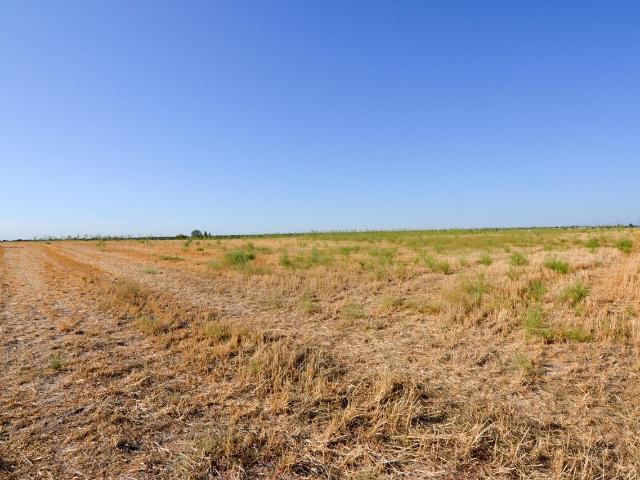 Terreno en venta en Brunete, Madrid