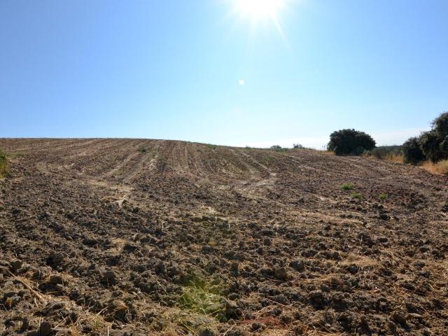 Terreno en venta en Brunete, Madrid