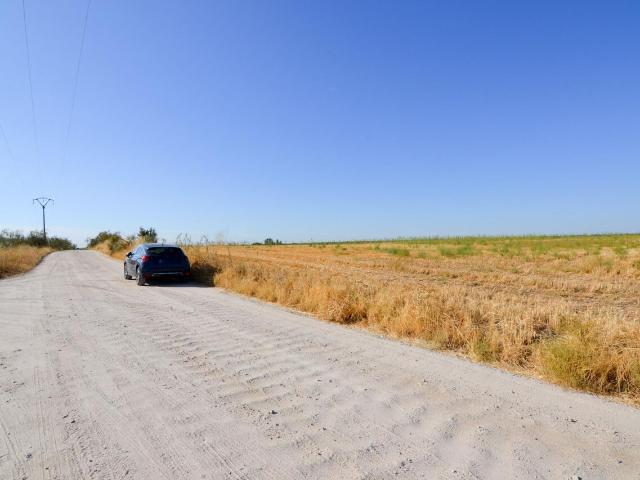 Terreno en venta en Brunete, Madrid