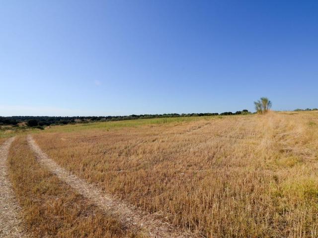 Terreno en venta en Brunete, Madrid
