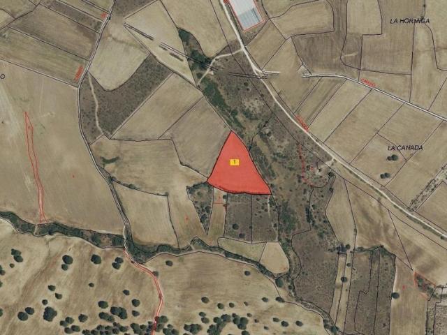Terreno en venta en Brunete, Madrid