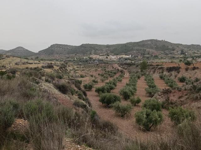 Terreno en venta en Noroeste, Murcia