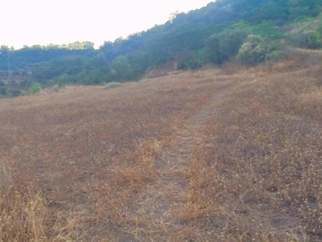 Terreno en venta en Comarca de la Alpujarra Granadina, Andalucía