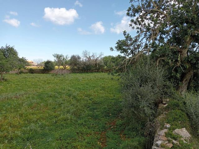 Terreno en venta en Calonge, Migjorn