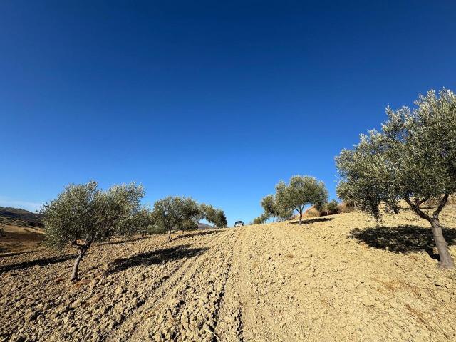 Terreno en venta en Casabermeja, Málaga