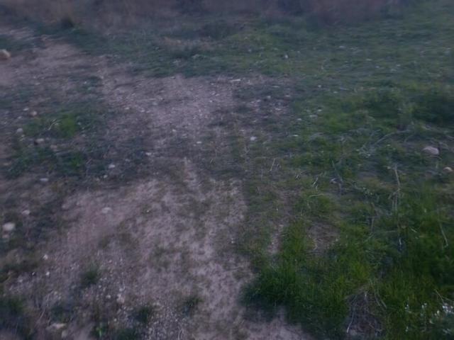 Terreno en venta en Campillo y Suertes, Noroeste