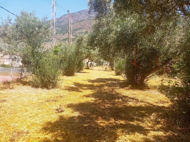 Terreno en venta en Celín, Dalías