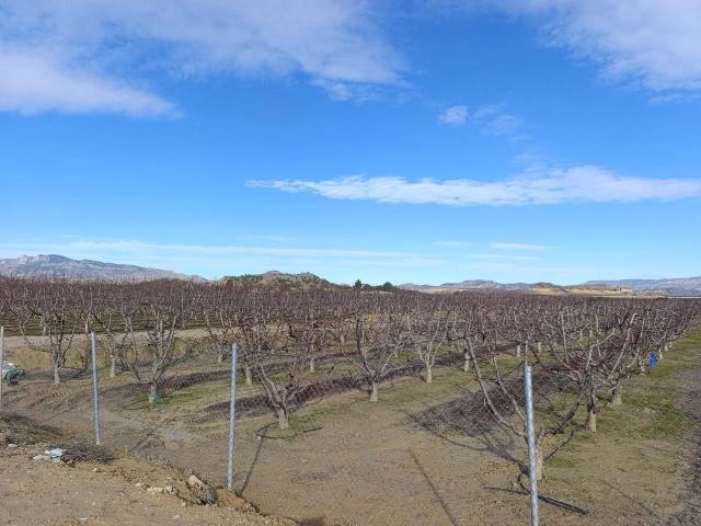 Terreno en venta en Vega Media del Segura, Murcia