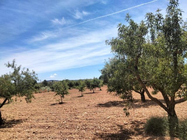 Terreno en venta en Noroeste, Murcia