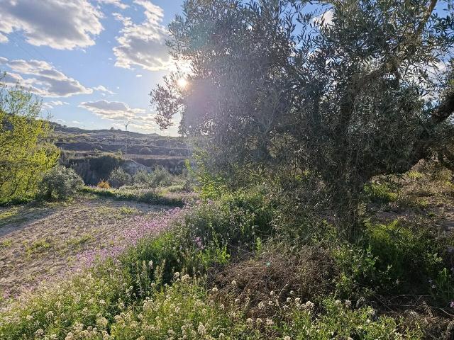 Terreno en venta en Noroeste, Murcia
