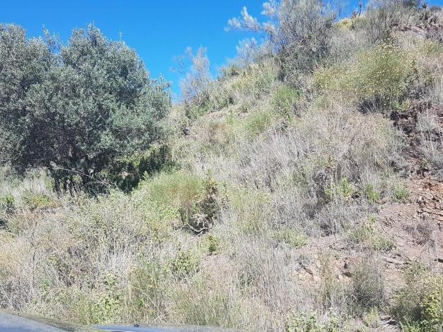 Terreno en venta en Chilches, La Axarquía