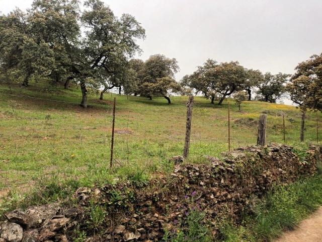 Terreno en venta en Sierra de Huelva, Andalucía