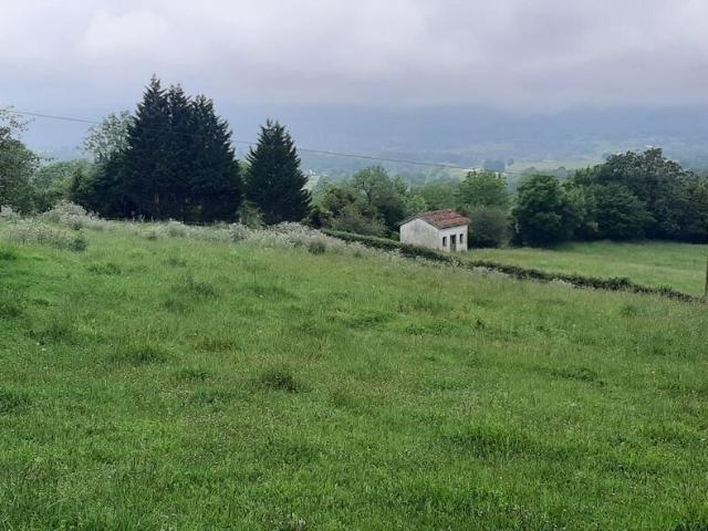 Terreno en venta en Cuenya, Nava