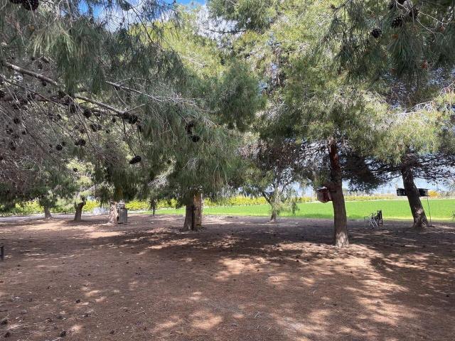 Terreno en venta en el Baix Segura / La Vega Baja, Valencia