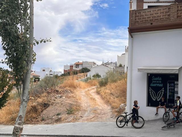 Terreno en venta en Deifontes, Granada
