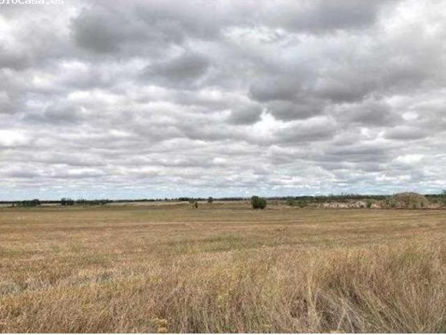 Local Comercial en venta en Grijota, Castilla y León