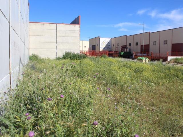 Terreno en venta en Escalonilla, Castilla-La Mancha