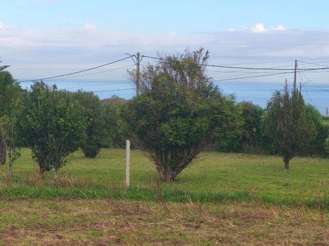 Terreno en venta en Ferrol, Galicia