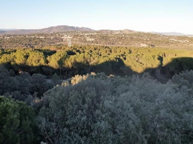 Terreno en venta en Roncesvalles, Galapagar